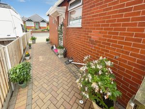 Side Garden- click for photo gallery